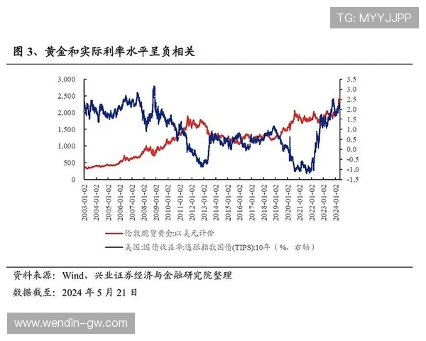 第1财经直播：洞悉市场风云，把握财富先机